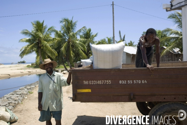 La cote des épices Madagascar  : la girofle