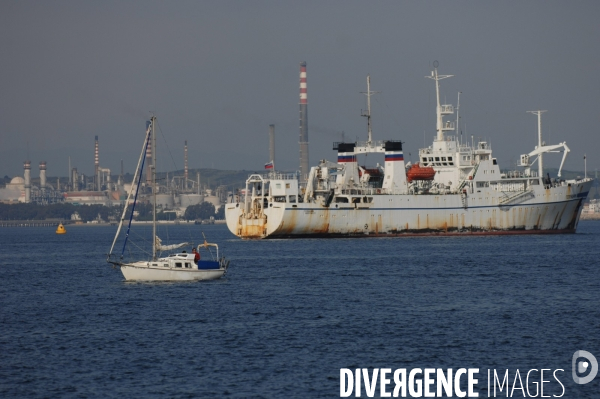 Traffic Maritime dense dans le dertoit de gibraltar