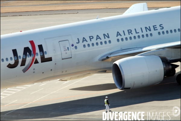 Illustration Japan Airlines Corp. / Japan Airline Corp. illustration