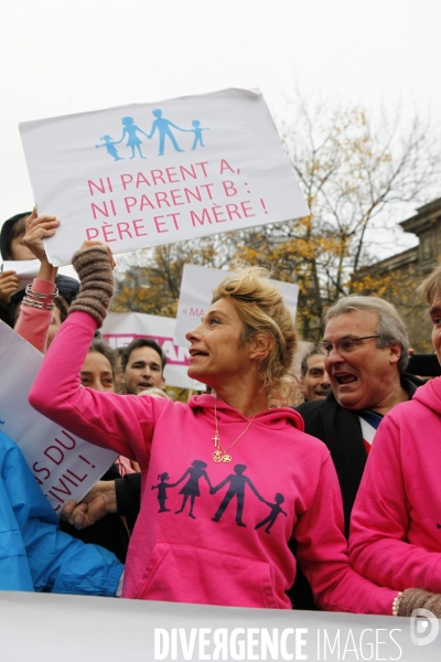 La Manif Pour Tous, contre le projet de loi de  Mariage et Adoption pour Tous .