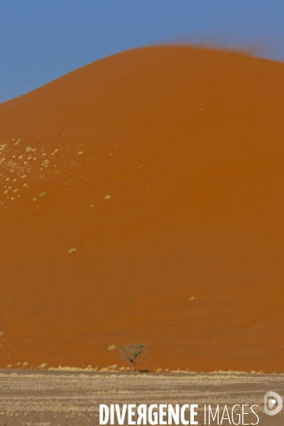 Sossusvlei:les plus grandes dunes du monde