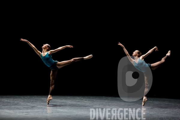 In the Middle, Somewhat Elevated - William Forsythe