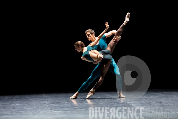 In the Middle, Somewhat Elevated - William Forsythe