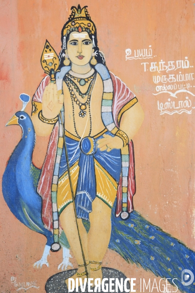 INDE - Kerala - Illustrations
