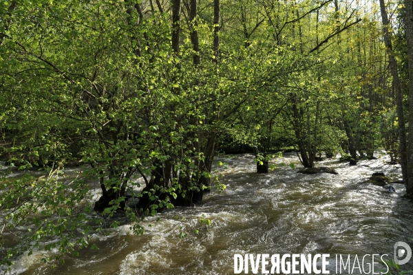 Crues de la rivière Yonne. Flooding of the river Yonne.