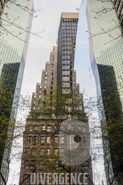 New York Reflections