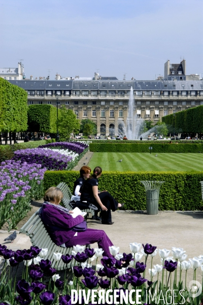 Ton sur ton.Rien a dire c est raccord au jardin du Palais Royal, tulipes mauves et ensemble mauve porte par une femme