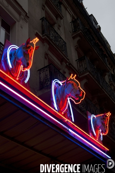 Commerce illustration.Neons eclaires en forme de têtes de cheval, enseigne d une boucherie chevaline.