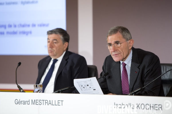 Résultats annuels 2013 du groupe GDF-SUEZ par son président Gérard MESTRALLET et son vice président Jean-François CIRELLI