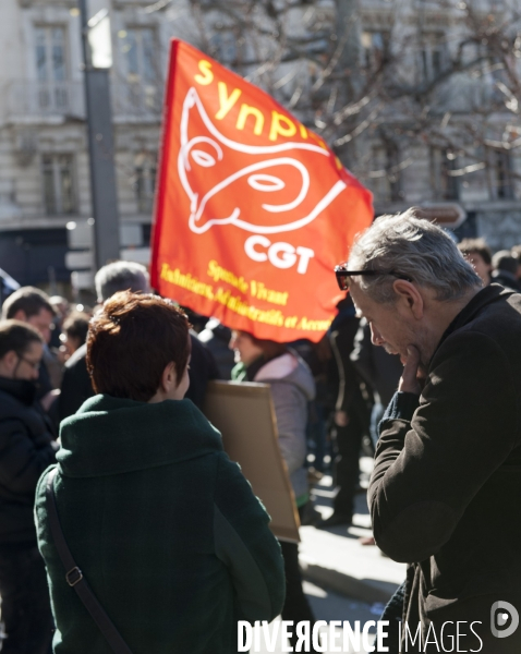 Manifestation à Marseille des intermittents du spectacle contre le MEDEF, qui propose la disparition de leur statut particulier.