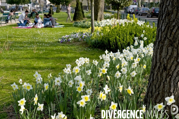 Illustration Mars 2014.Le jardin boulevard Lannes au pied de l université Paris Dauphine.