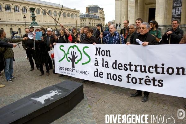 Manifestation du collectif SOS Forêt France