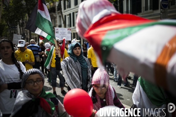 Manifestation de soutien a la Palestine.