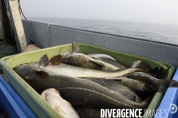 Pêche à Saint Pierre et Miquelon