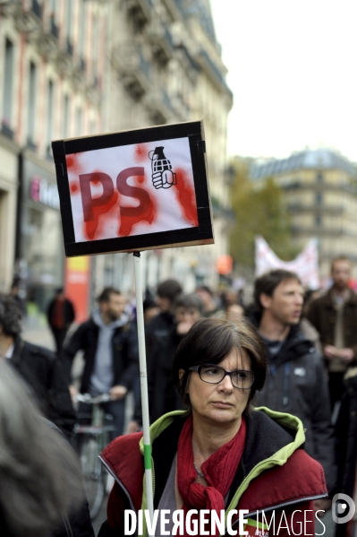 Manifestation contre la mort de Rémi FRAISSE et les violences policières