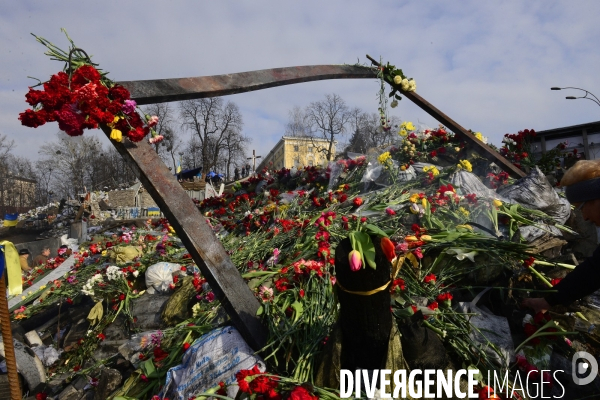 The Ukrainian Revolution 2014 aftermath. La Révolution Ukrainienne 2014 après.