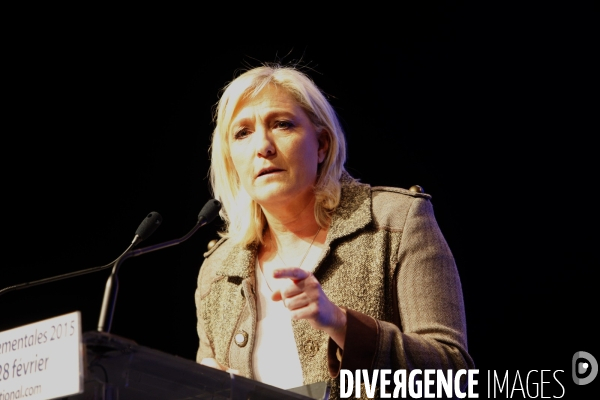 FRONT NATIONAL. Convention Departementales 2015
