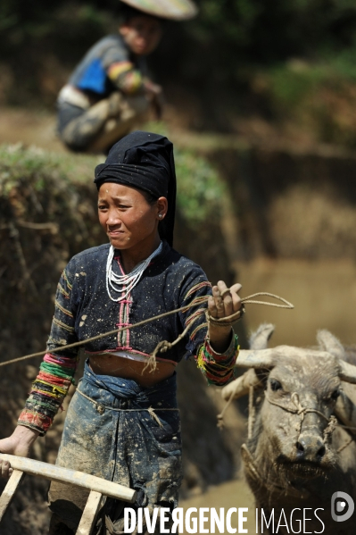 L ethnie des Lo Lo noirs de la region de Cao Bang au nord du Vitetnam