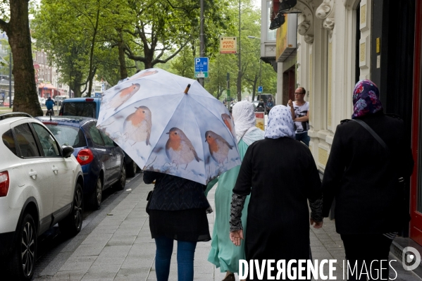 Rotterdam.Femmes portant le foulard islamique et un parapluie avec des rouge gorges