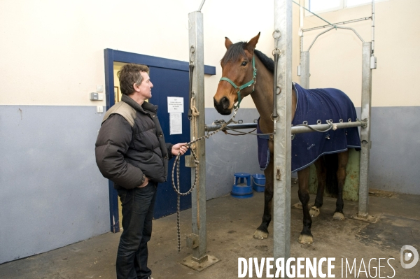 Clinique vétérinaire, ostéopathie animale pour chevaux. Veterinary clinic, animal osteopathy for horses.