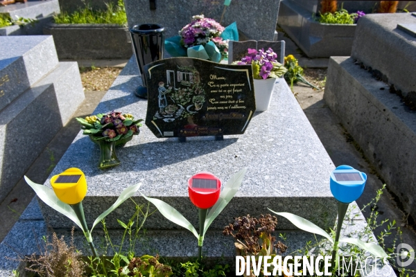 Illustration Aout 2015.Le cimetiere parisien d Ivry.Amenage de façon paysagere,Il beneficie dune gestion respectueuse de l environnement