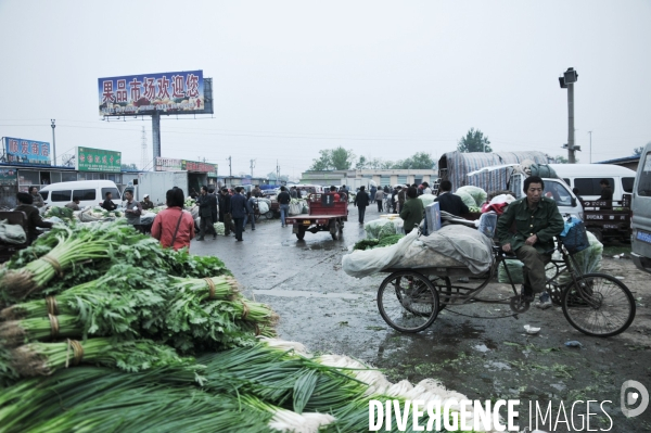 Xin Fa Di - Beijing main wholesale food market - Le principal marché en gros de Pékin