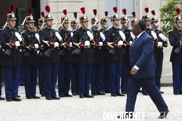 Paris : Francois Hollande recoit Ali Bongo Ondimba.