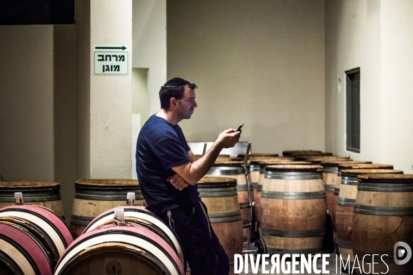 Le vin casher en Israël