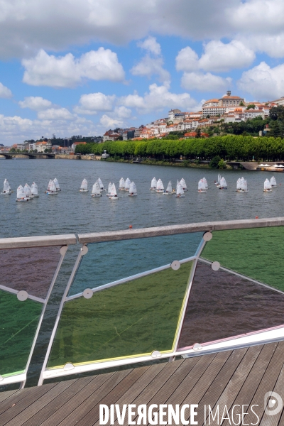 Coimbra.Portugal.Regate d optimists sur le fleuve Mondego -