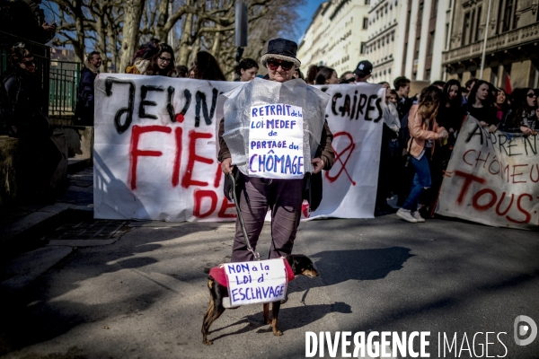 Lyon : manifestation contre la loi travail