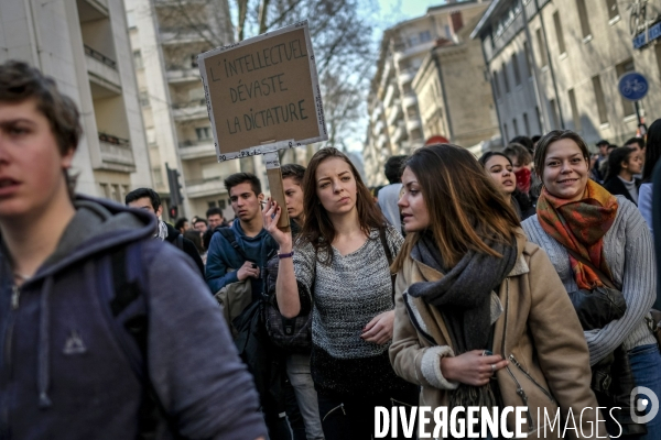 Lyon : manifestation contre la loi travail