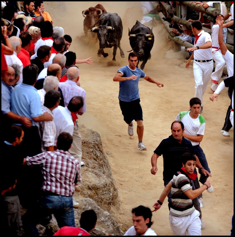 L'ENCIERRO DEL PILON Aout 2010. L'encierro ou lâcher de taureaux du Pilón, a lieu à Falces à 9 heures du matin lors des fêtes patronales de la Vierge de Nieva (9 jours depuis l'avant-dernier dimanche d'août). Vachettes, coureurs et falaise sont les protagonistes d'un des rendez-vous taurins les plus curieux de Navarre. Cette originale course emprunte, sur 800 mètres de long un sentier escarpé longé d'un côté par la falaise et de l'autre par le ravin.