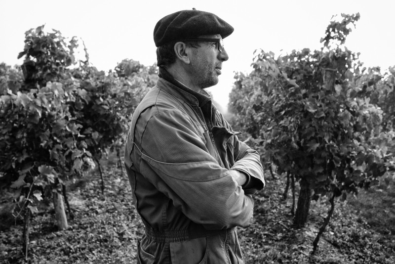 Vins, Vignes, Vignerons Mémoire Sociale de Plaimont Septembre 2017 © Alain Tendero / Divergence Contact 06 80 91 58 06