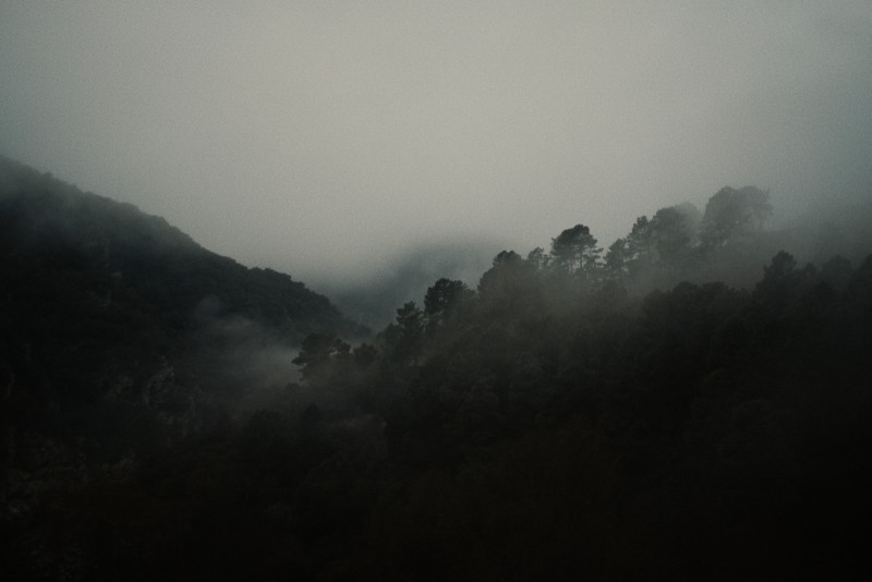 Le paysage empêché Les cimes des arbres dans la brume, le long des gorges du Chassezac dans les Cévennes Ardéchoises. 