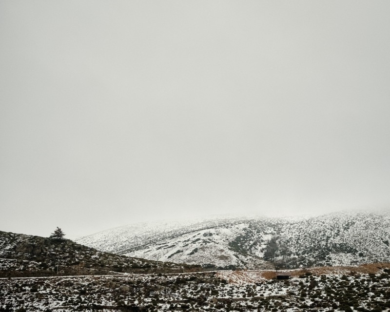 Blanc Perdu Dans un paysage hivernal et enneigé des Cévennes ardéchoises, une route se dessine  dans la montagne au dessus  d'elle un seul et unique arbre se tient comme une vigie. 