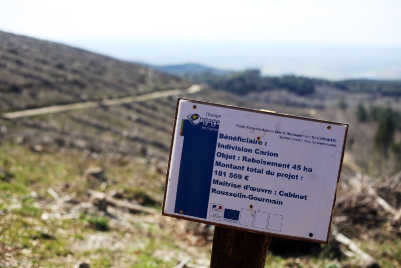 Bois Chantier de reboisement FEADER, Fonds Européen Agricole pour le Developpement Rural, instrument de financement de la politique agricole commune, la PAC, après une coupe de bois 