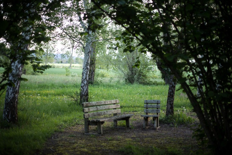 La nature durant le confinement lié à la pandémie du Covid 19 La nature pendant le confinement Département du Tarn Les bancs dans le parc d'un monastère  