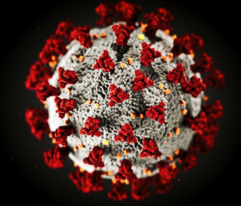 VIRUS : LUTTE ET CONSEQUENCES. Coronavirus  COVID 19. Sars Cov 2