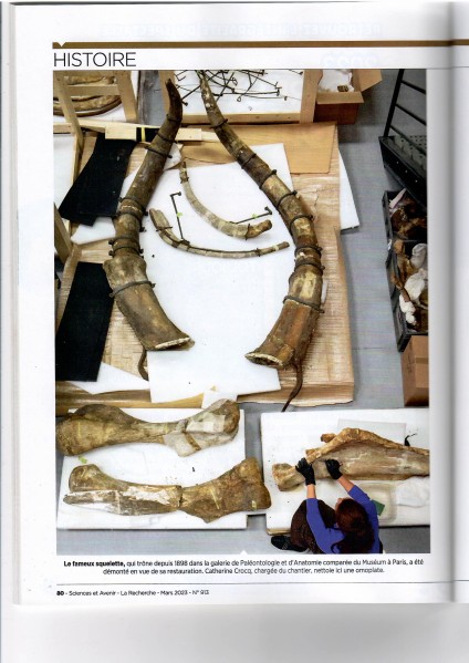 L aventure du Mammouth de Durfort : une année de reportage en cours au Muséum