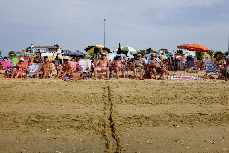 Les célèbres Courses de Chevaux de Sanlúcar de Barrameda en Espagne Ces Courses hippiques se déroulent sur la plage de Sanlúcar de Barrameda en Andalousie autour du 15 août et sont le rendez-vous incontournable de l'année hippique en Espagne. C'est aussi un rendez-vous famillial où la tradition veut que les enfants créent leur propre guichet de paris et font gagner bonbons et jouets. 