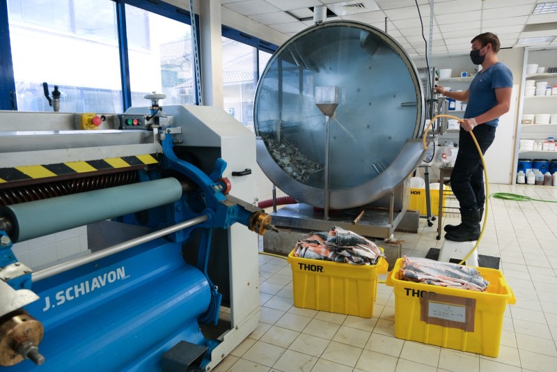 Un cuir venu de la mer (Lyon - 2020) Fabrication de cuir marin Et si on pouvait tanner la peau de poisson pour en faire du cuir ?... C'est l'idée un peu folle qu'on eu il y a plusieurs années Gauthier, Benjamin et Emmanuel, fondateurs de la société Ictyos. Et depuis, cette idée s'est concrétisée et aujourd'hui, ce sont des tonnes de peaux de saumons récupérées auprès des restaurants de sushi lyonnais, ou des peaux des carpes de La Dombes, qui sont tannées et transformées en cuir marin. Un cuir comme un autre, oui et non, mais contrairement aux idées reçues, aucune odeur particulière, des pièces de grandes qualité et surtout des peaux de poisson aujourd'hui valorisées et qui ne finissent plus à la poubelle...