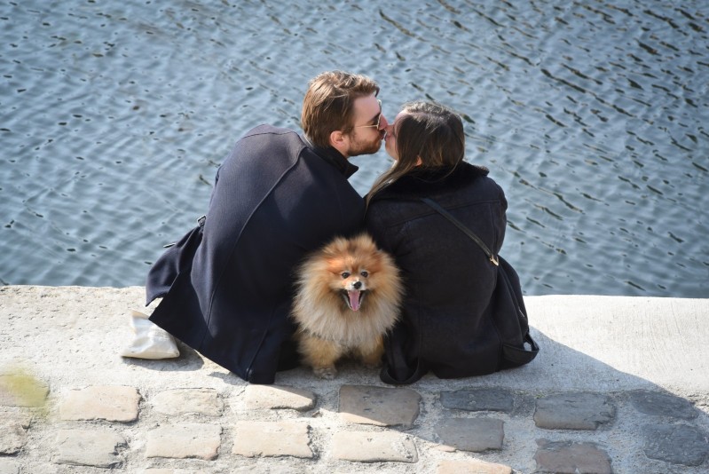 Ma bestiole et moi Un couple d'amoureux s'embrassent, leur chien entre les deux, sur les quais parisiens.