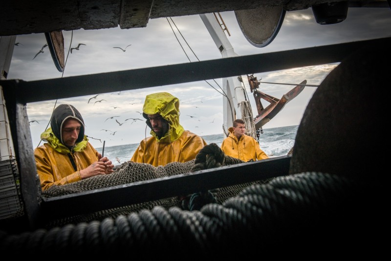 Reportage : « Dans les filets » Reportage sur la vie de Marins-pecheurs en Mediterannee a bord du chalutier Louis Gaetane II base a Sete, 1er port de peche francais en mediterannee. Malgre la disparition du poisson bleu, les législations europeennes et l'augmentation de toutes les charges, un poignee de professionnels survivent grace a l'amour du metier et des élements et pechent le poisson blanc (sole, rouget, baudroie, dorade, bar, lotte) 200 jours par an. Sete, FRANCE - 29/10/2013.