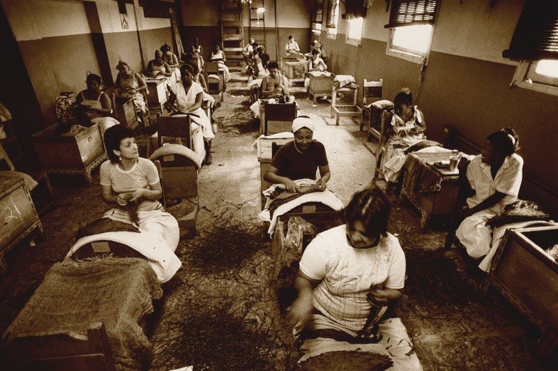 Havanes CUBA LA HAVANE 1992 Salle de tri des feuilles de tabac Fabrique Upmann à La Havane La Manufacture UPMAN de cigares à La Havane ,est le dernier endroit où l'on fabrique encore des cigares selon l'ancienne méthode , où tout se fait à la main.