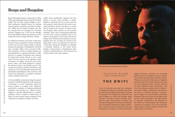 The Doubleblind-guide to psychédélics 