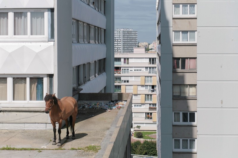 Tous Les Jours Dimanche ©Manolo Mylonas/Montreuil/Aout 2006