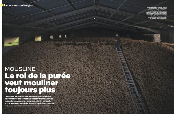 La pomme de terre de Santerre