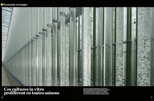Mega-Ferme verticale de Micro algues en Autriche