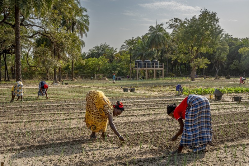 Égales Perimetre du village de Ghamoune