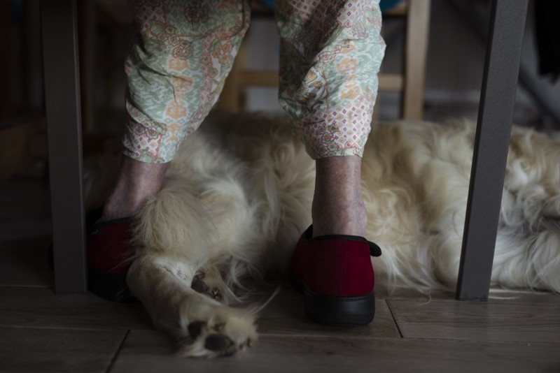 Les accueillants familiaux une alternative à l’Ehpad Le Pizou en Dordogne (24), le 14 août 2025. Le Pizou en Dordogne (24), le 14 août 2025. Lili, 92 ans prend son petit-déjeuner avec l'un des chiens de la maison à ses pieds. Les dames accueillies par Marie Provot, accueillante familiale, et son mari se réveillent à l'heure qu'elles le souhaitent et commencent leur journée par le petit-déjeuner dans la salle à manger de la maison.